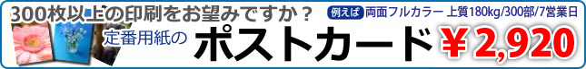 300枚以上をお望みですか？