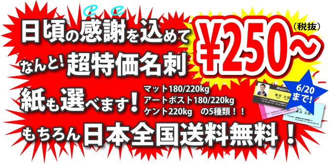 日頃の感謝を込めて超特価名刺大特売！もちろん日本全国送料無料！