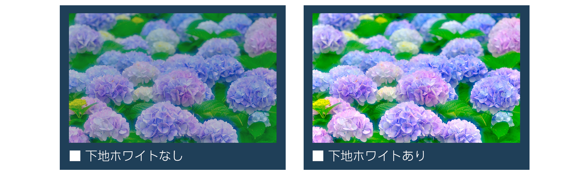 ホワイトインク印刷の使用ありなしの比較画像