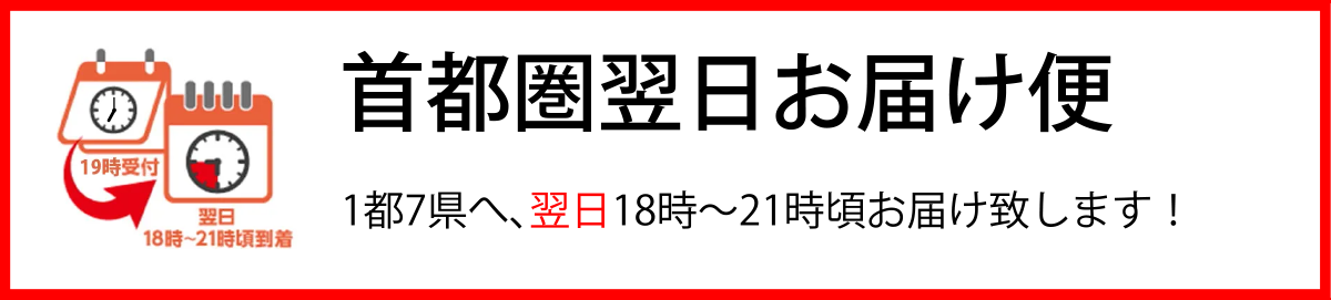 首都圏翌日お届け便