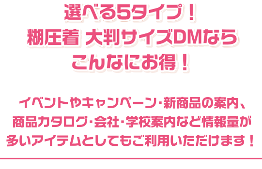 選べる5タイプ！糊圧着 大判サイズDMならこんなにお得！