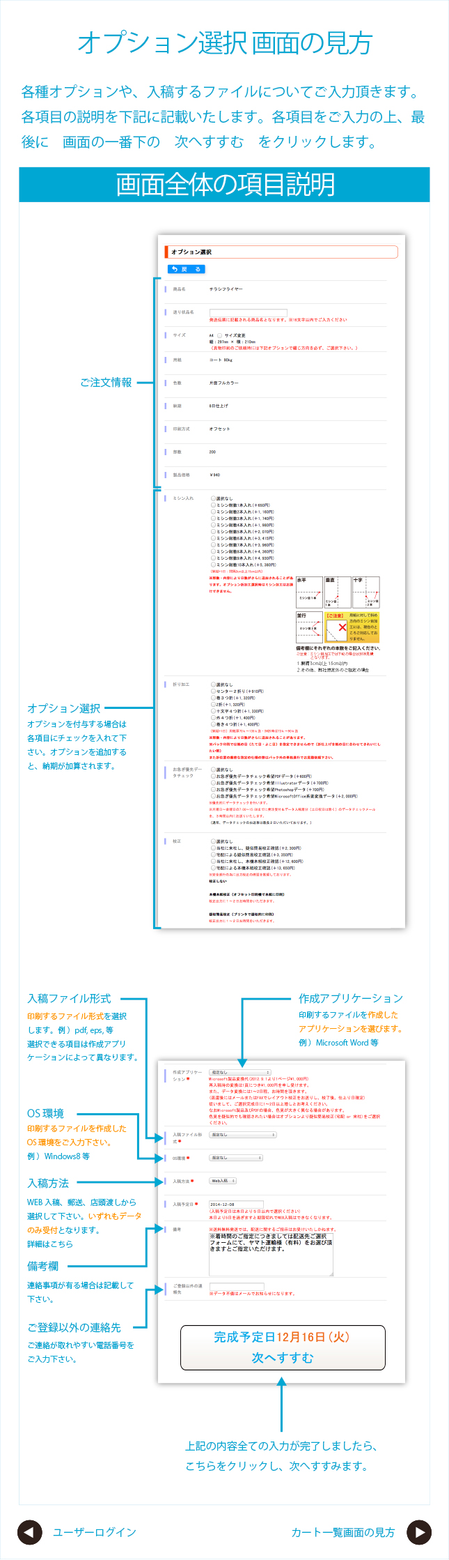 オプション選択 画面の見方