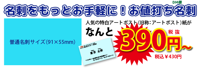 名刺（91×55㎜） お値打ち名刺印刷DM便の価格表｜ネット印刷なら激安・格安の【東京カラー印刷通販】