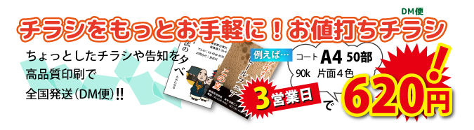 ハイブリッドお値打ちチラシ・フライヤー!